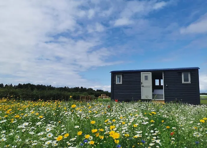 Barley Shepherd Hut - Snettisham Meadows