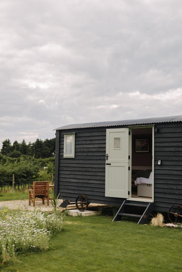 Barley Shepherd Hut - Snettisham Meadows King's Lynn