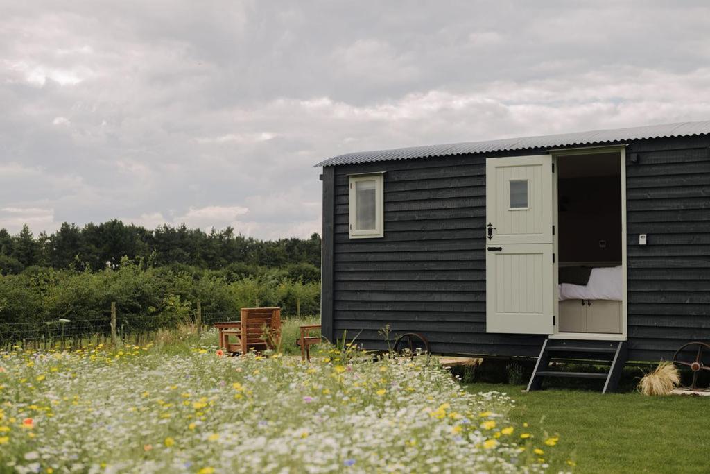 Campsite Barley Shepherd Hut - Snettisham Meadows *