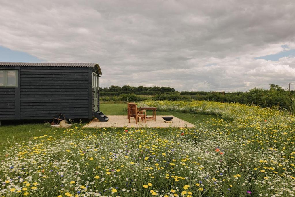Barley Shepherd Hut - Snettisham Meadows Campsite